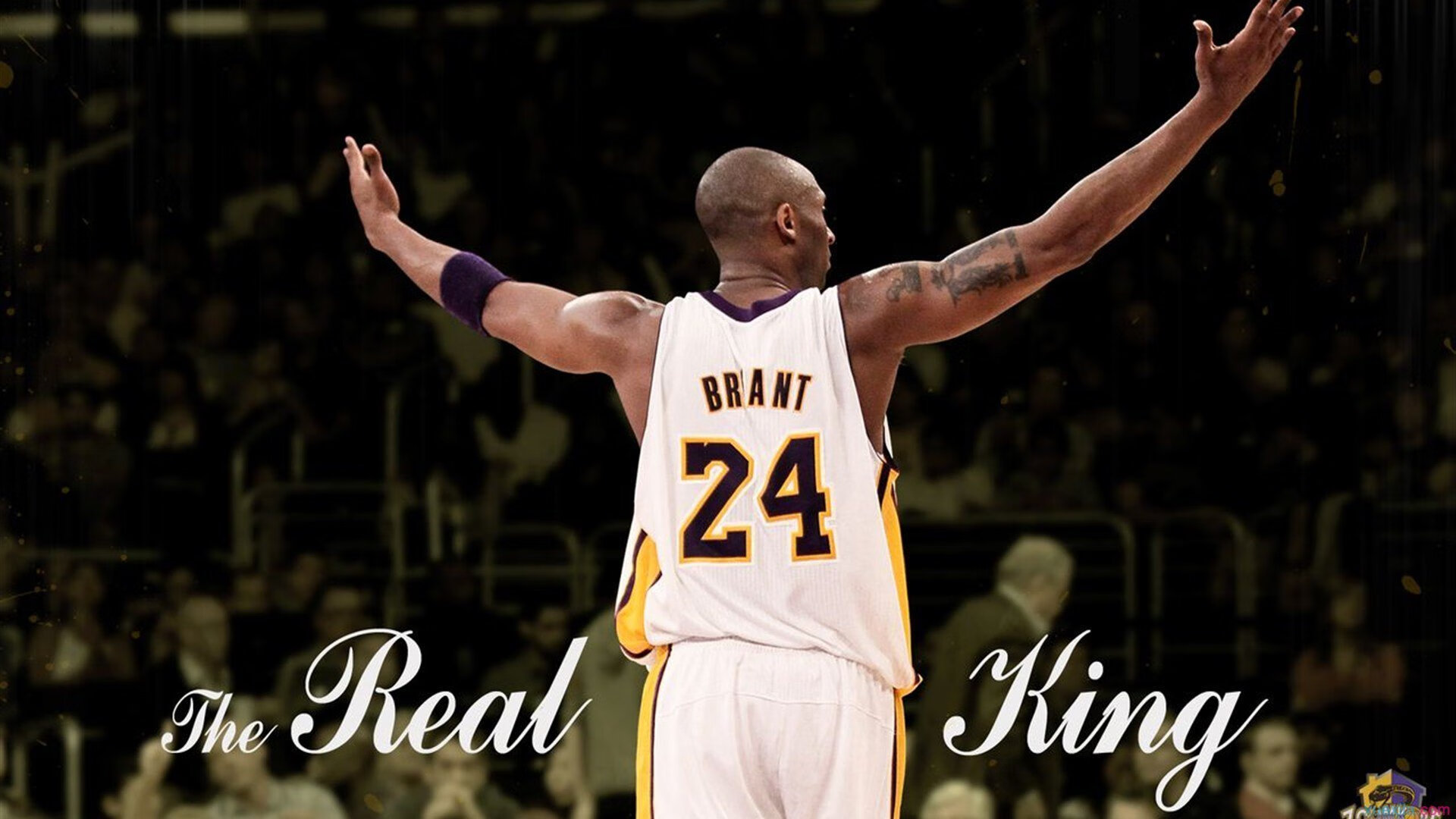 年度最佳瞬间投票:你投给了哪一幕?,最佳年度演员投票