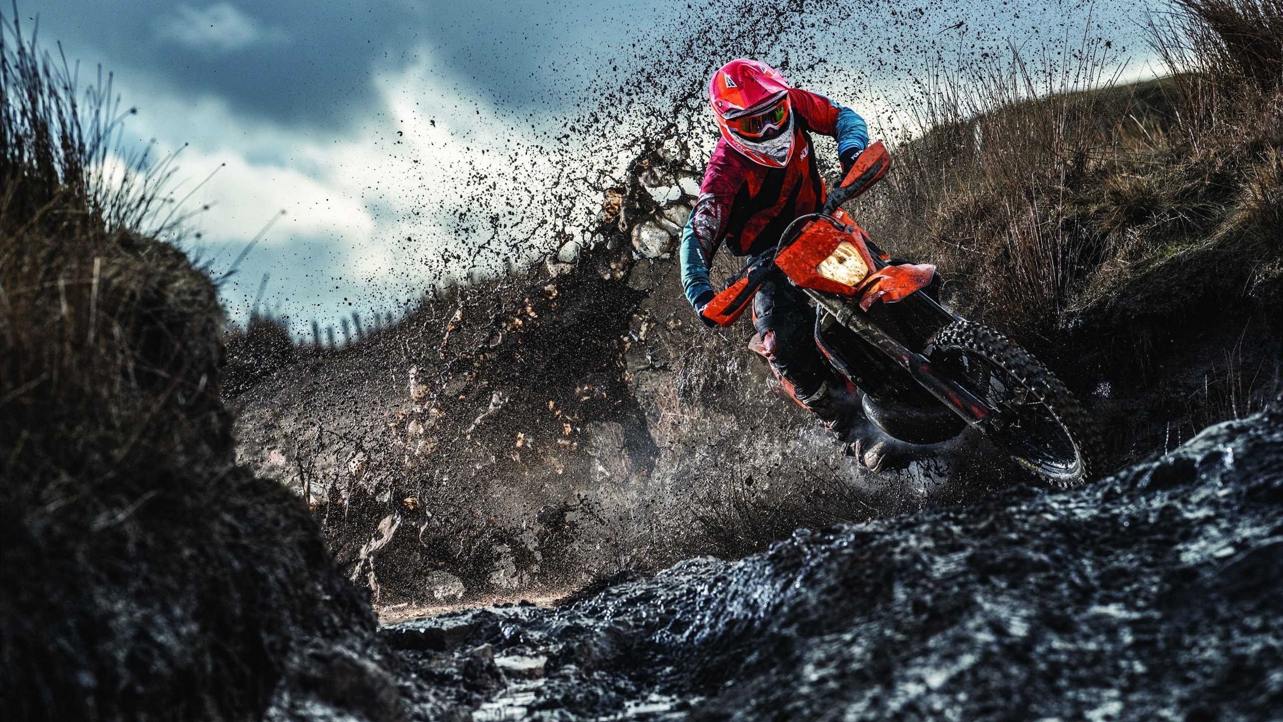 篮球专项技能教学方法改革及实效评估研究，篮球专项技术训练要点