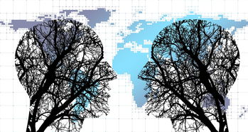 开云官网app-体育新闻中心协同多方建立体育内容风控机制，体育新闻机构